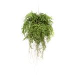 Emerald Ferigă artificială suspendată cu rădăcini, 55 cm GartenMobel Dekor