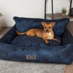 Scruffs & Tramps Pat pentru câini „Kensington”, bleumarin, 90x70 cm, L GartenMobel Dekor