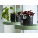 Esschert Design Tavă pentru plante suspendată, verde, rotund, S GartenMobel Dekor
