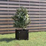 Jardinieră de grădină, negru, 31x31x31 cm, lemn masiv de pin GartenMobel Dekor