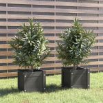 Jardiniere de grădină, 2 buc., gri, 31x31x31 cm, lemn masiv pin GartenMobel Dekor