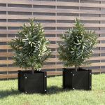 Jardiniere grădină, 2 buc., negru, 31x31x31 cm, lemn masiv pin GartenMobel Dekor