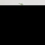 Dulap TV montat pe perete, alb extralucios, 40x34,5x80 cm GartenMobel Dekor