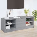 Comodă TV, gri sonoma, 102x35,5x36,5 cm, lemn compozit GartenMobel Dekor