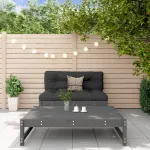 Set mobilier relaxare grădină, 2 piese, gri, lemn masiv de pin GartenMobel Dekor