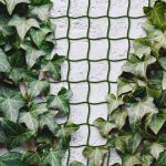 Plasă de cățărare a plantelor - 5m x 50 cm - poate fi taiată - plastic - verde închis Best CarHome