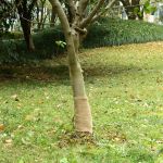 Rulou de iută, 0,25x15 m, iută 100%, 200 g/m² GartenMobel Dekor