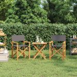Scaune de regizor pliante, 2 buc., gri, lemn masiv de tec GartenMobel Dekor