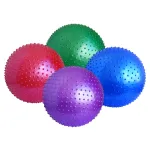 Minge pentru masaj SPORTMANN 65 cm FitLine Training