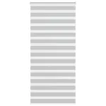 Jaluzea tip zebra gri deschis lățime țesătură 100,9cm poliester GartenMobel Dekor