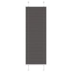 Jaluză plisată negru 40x150 cm Lățime țesătură 39,4cm poliester GartenMobel Dekor