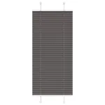 Jaluză plisată negru 60x100 cm Lățime țesătură 59,4cm poliester GartenMobel Dekor