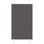 Jaluză plisată negru 75x100cm Lățime țesătură 74,4 cm poliester GartenMobel Dekor