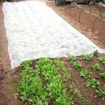 Folie anti inghet, microporoasa tip agril, 17 g/mp, rola 3.2x10 m, reutilizabila MultiMark GlobalProd