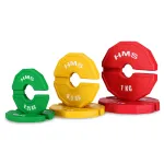 Set greutati cauciucate HMS TSN100 2x1 kg/35 mm FitLine Training