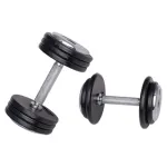 Gantera inSPORTline ProfiST 45 kg FitLine Training