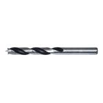 Burghiu pentru lemn, 10 mm, JUFISTO GartenVIP DiyLine