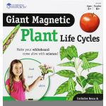 Ciclul vietii plantei - set magnetic PlayLearn Toys