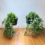 Decor plante artificiale - în ghiveci - 16 x 26 cm Best CarHome