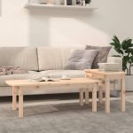 Set măsuțe de cafea, 2 piese, lemn masiv de pin GartenMobel Dekor