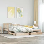 Pat de zi cu extensie și sertare fără saltea, 90x200 cm GartenMobel Dekor
