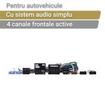 Cablu activ ZDT-BMW1 Phoenix Gold pentru BMW cu sistem de sunet de bază cu un quadlock CarStore Technology