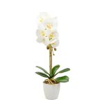 Decorațiune cu plantă artificială – Orhidee albă – 48 cm Best CarHome