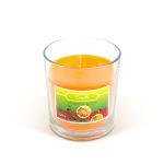 Lumânare parfumată – "Mirodenie de Crăciun" – 120 g Best CarHome
