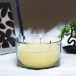 Lumânare parfumată – Vanilie – 350 g Best CarHome