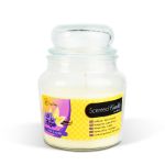 Lumânare parfumată – borcan cu capac – Violet & Vanilla – 310 g Best CarHome