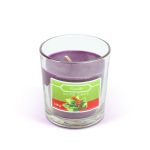 Lumânare parfumata - "winter berry" - 120 g Best CarHome