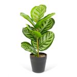 Plantă artificială decorativă - Frunză de zebră verde - 34 x 9 cm Best CarHome