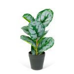 Plantă artificială decorativă - Frunză de zebră verde/alb - 34 x 9 cm Best CarHome
