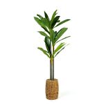 Plantă decorativă artificială Dracaena Fragrans – 1,1–1,2 m, verde Best CarHome