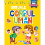 Corpul uman - Simturile PlayLearn Toys