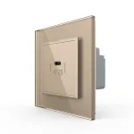 Priza USB Tip C Livolo cu Rama din Sticla SmartElectro IntelligentHouse