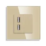 Priza USB cu Rama din Sticla LUXION SmartElectro IntelligentHouse