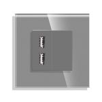 Priza USB cu Rama din Sticla LUXION SmartElectro IntelligentHouse
