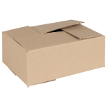 Cutia Pliabilă 50 pcs 25x17.5x10 cm Carton GartenMobel Dekor