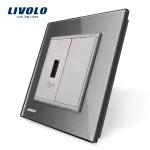 Priza USB Livolo cu rama din sticla SmartElectro IntelligentHouse