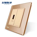 Priza USB Livolo cu rama din sticla SmartElectro IntelligentHouse