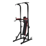 Power Tower Sportmann Rocha FitLine Training