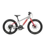 Bicicleta Copii Raymon Yanga 20 Pro 2025 - 20 Inch, Gri - Altus Ultimate FactoryBikes