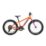 Bicicleta Copii Raymon Yanga 20 2025 - 20 Inch, Portocaliu - TY200 Ultimate FactoryBikes