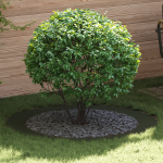 Ghiveci din Plastic Verde Oliv Plastic Mare Ghiveci Plastic GartenMobel Dekor