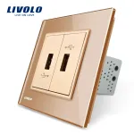 Priza dubla USB Livolo cu rama din sticla SmartElectro IntelligentHouse