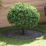 Set Ghivece Negre Negru Plastic Mare Durabil Ghiveci Negru GartenMobel Dekor