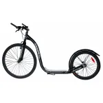 Trotineta WORKER Entropy FitLine Training