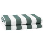 Material de înlocuire pentru copertină Verde, alb 10 x 1.6 m GartenMobel Dekor