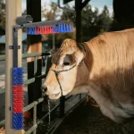 Periile pentru vite Roșu și albastru 84 x 10 x 91 cm GartenMobel Dekor